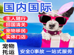 天津航空邮寄国际宠物托运 【国